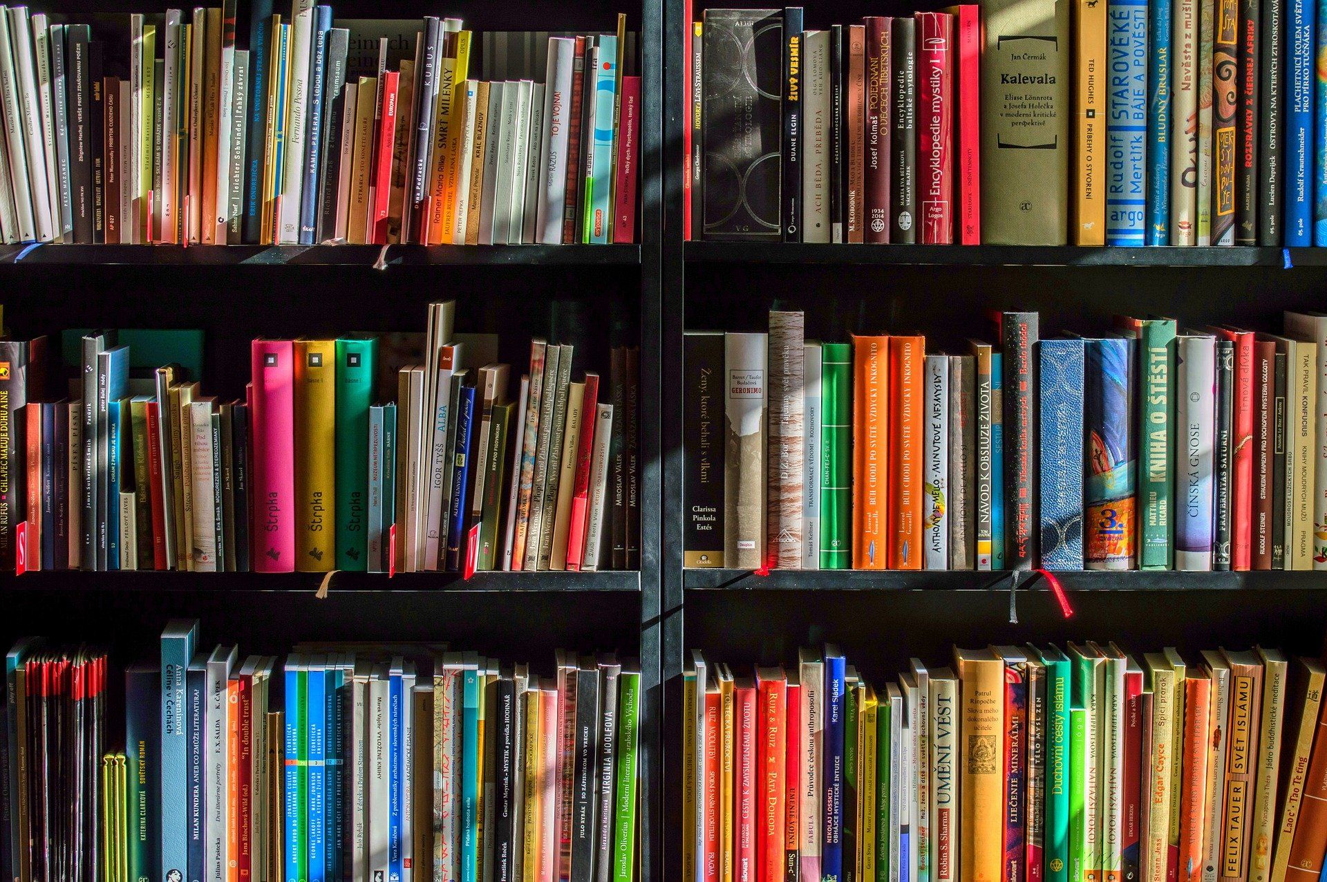 Kostamuksen, Matroosan, Sosnavitsan, Tšalnan ja Zolotetsin kirjastot osallistuvat hankkeeseen. Yhteensä 188 Venäjän kirjastoa on mukana hankkeessa.  Kuva: pixabay.com